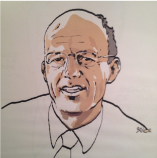 Bertrand-Petit--Innocherche.png